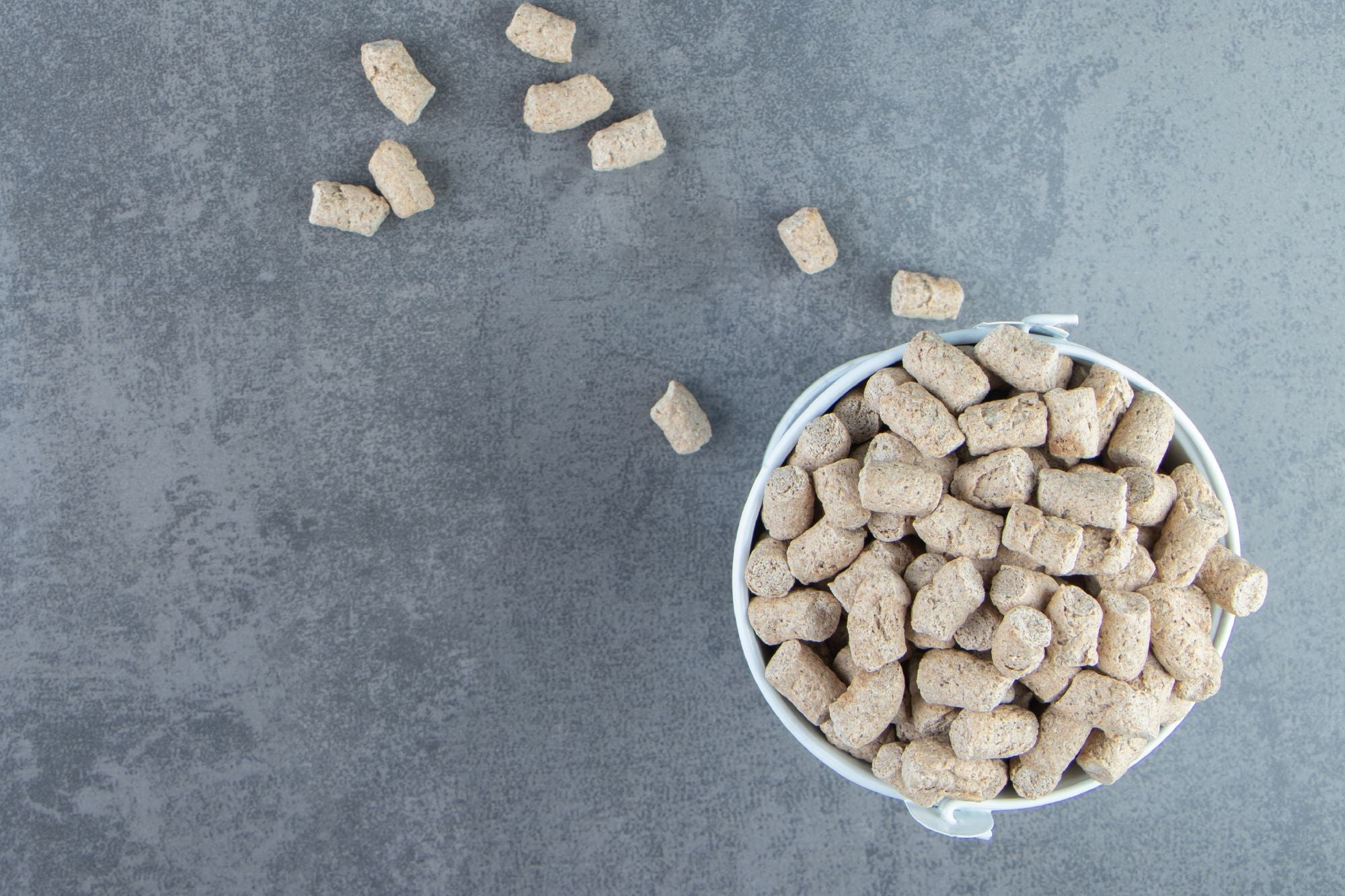 Freeze Dried & Alternative Raw Dog Food