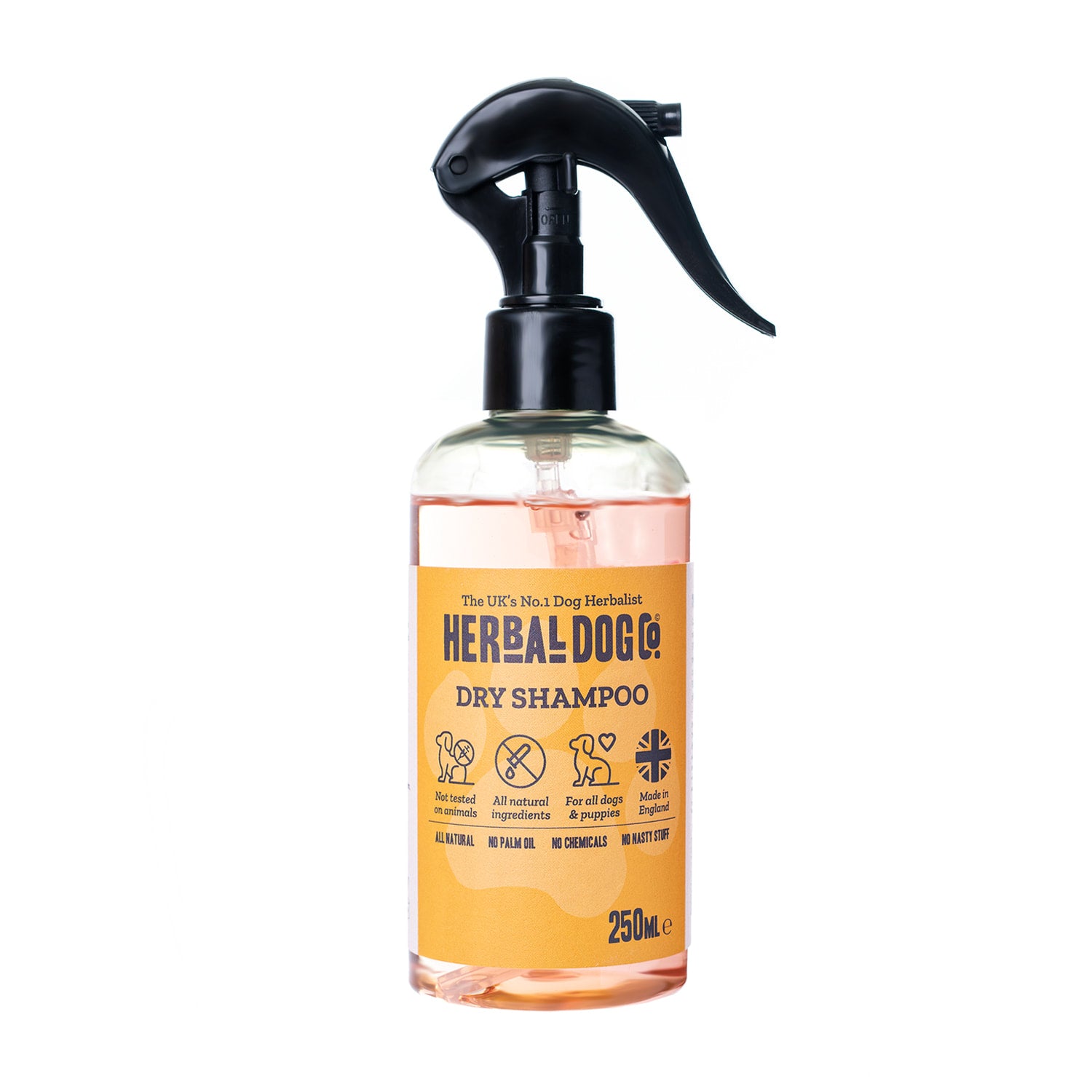 Dry / No-Rinse Shampoo