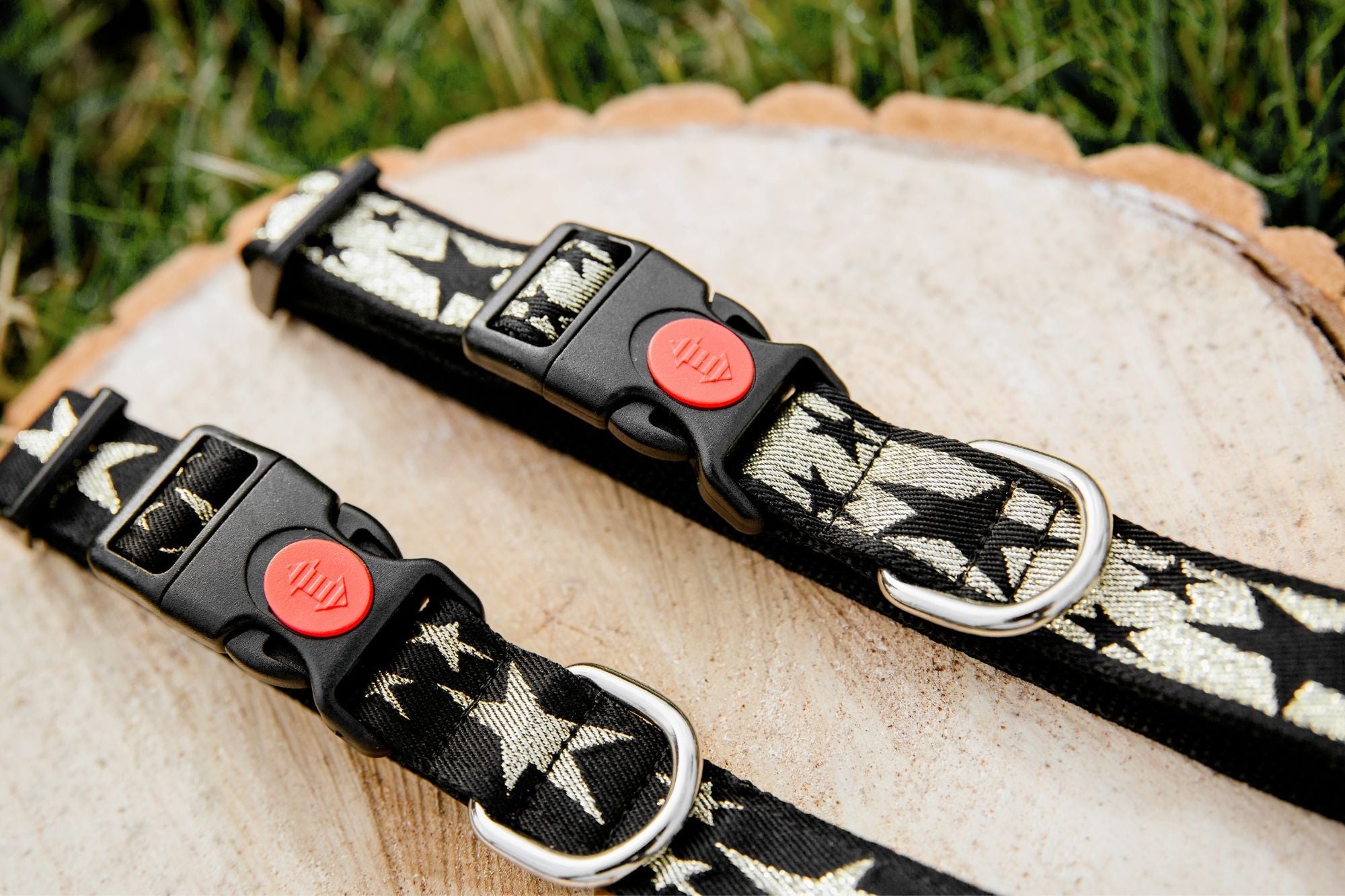 Collars, Leads and Harnesses