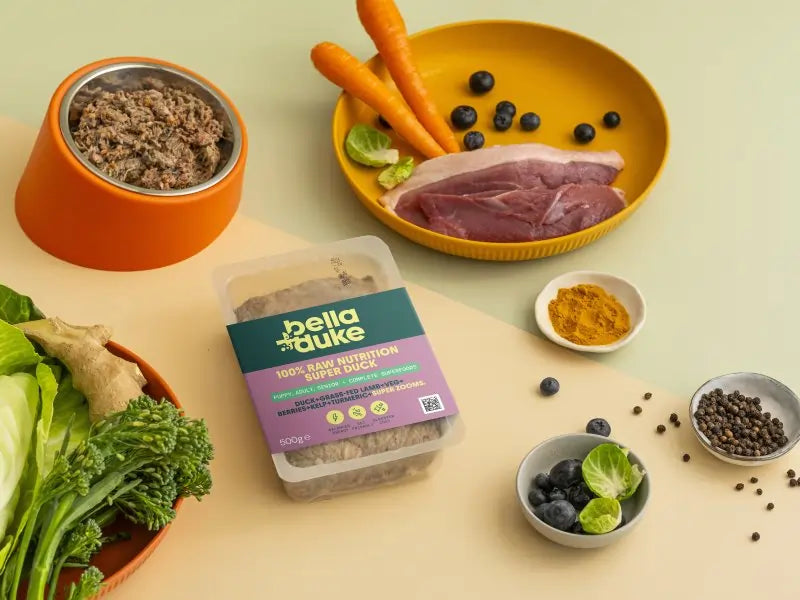 Pack of Bella+Duke raw super duck food on a table with small bowls of other dog food and treats