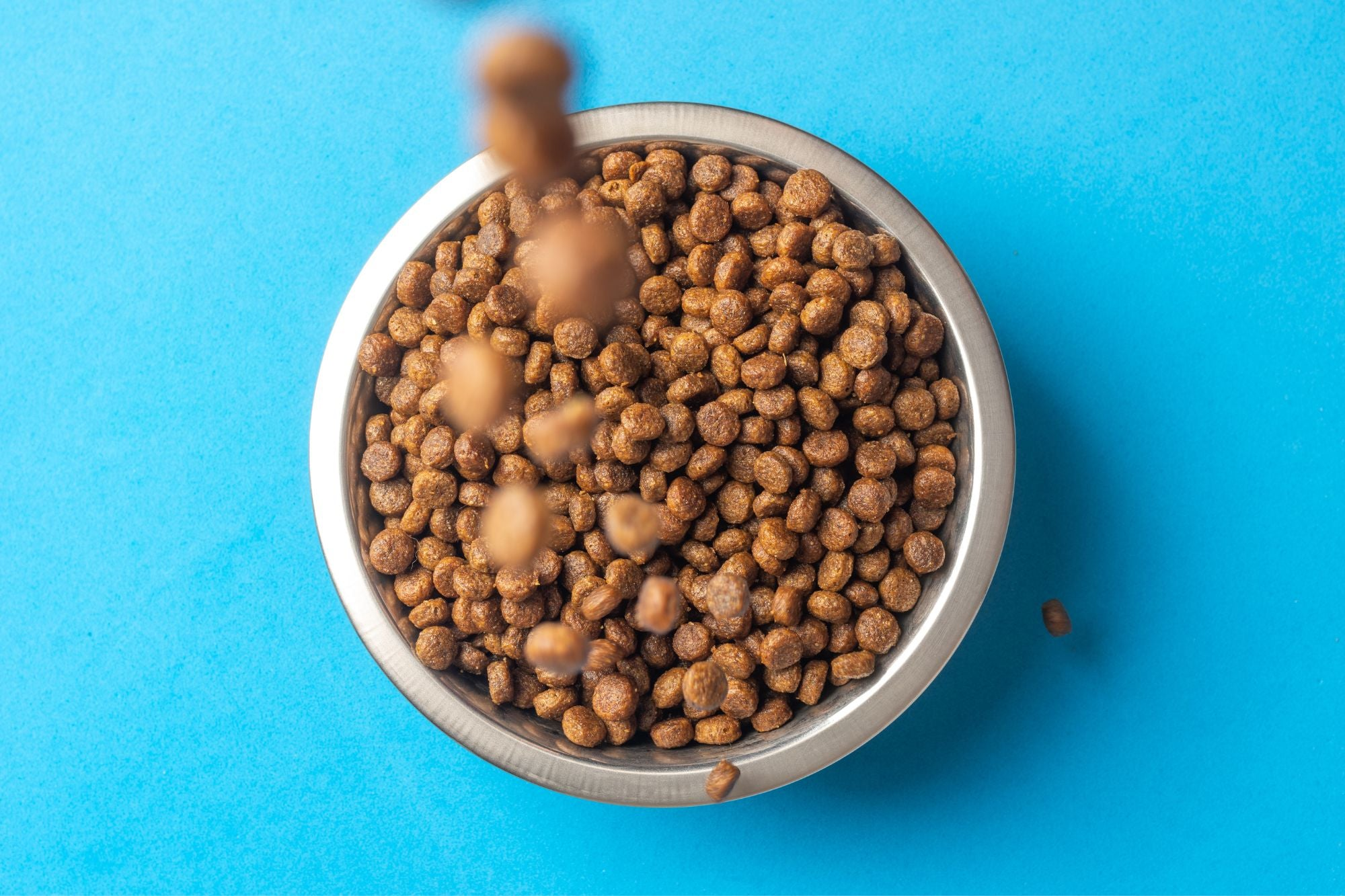 Dry Dog Food