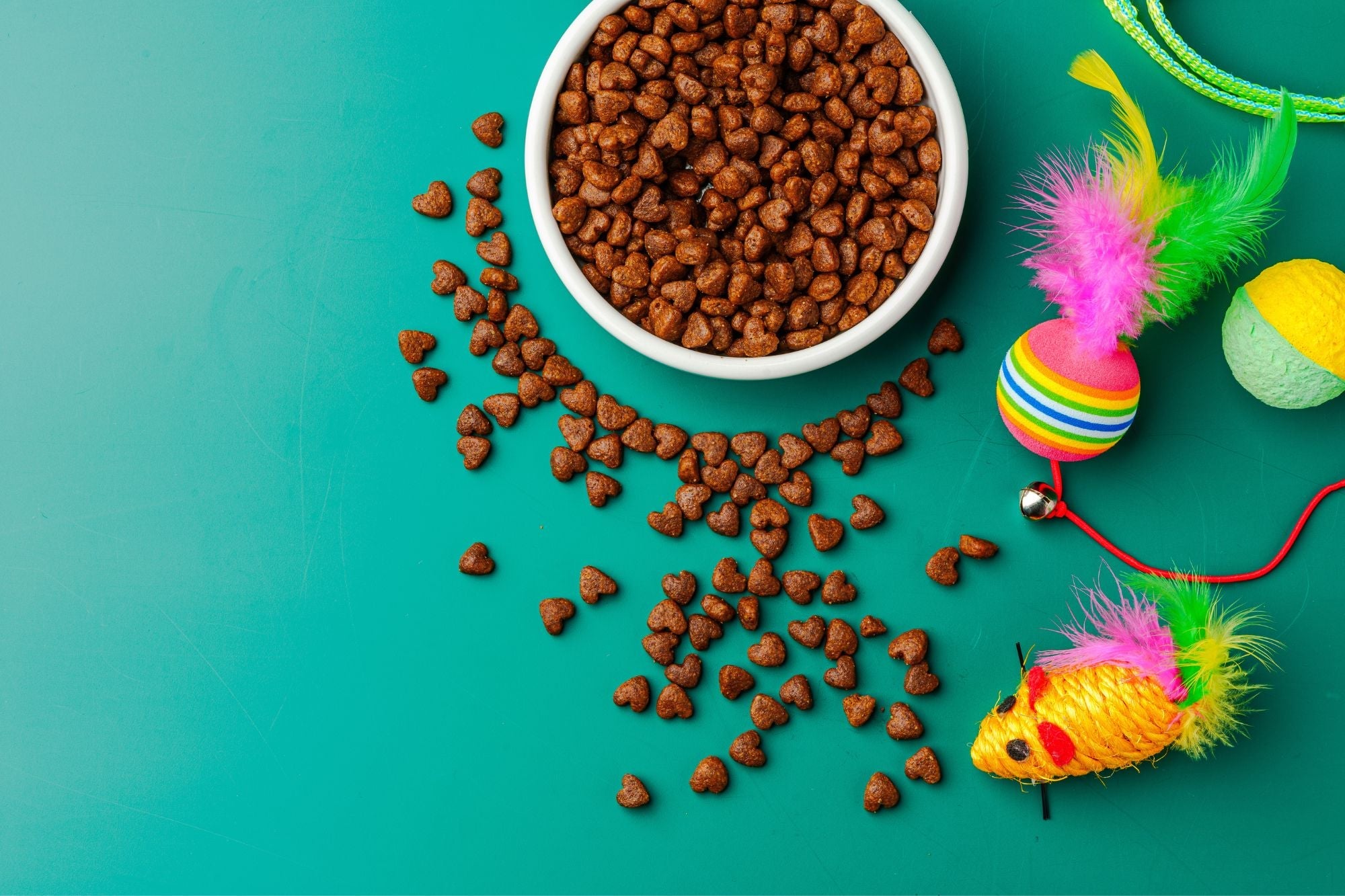Dry Cat Food