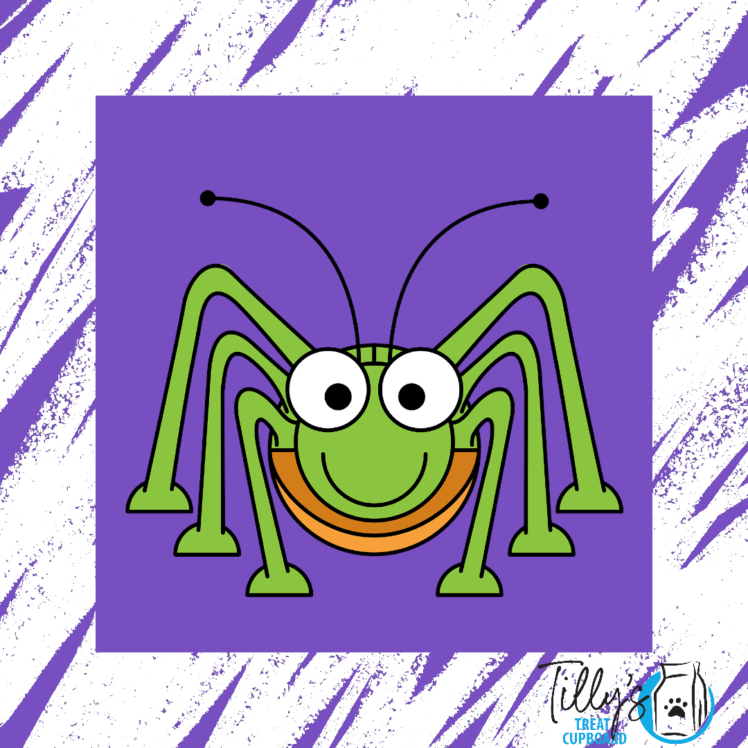 Insect
