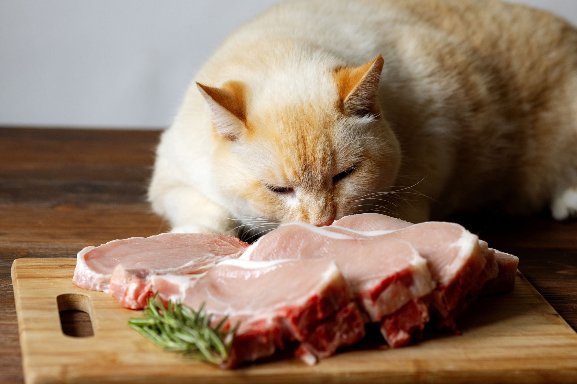 Raw Cat Food