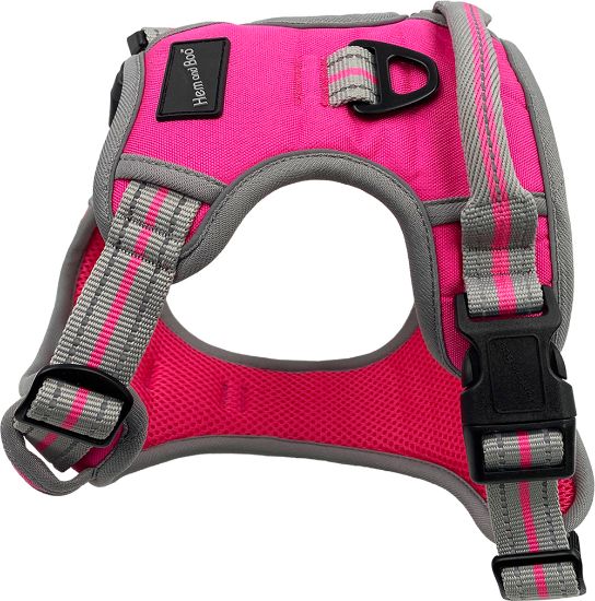 Hem & Boo Sports Harness