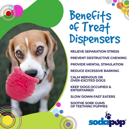 Sodapup Pup-X Honey Pot Treat Dispenser