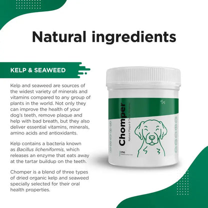 Dog's Lounge CHOMPER – Organic Tartar & Plaque Remover For Dogs & Puppies