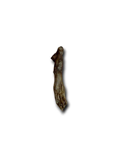 Rabbit Feet (no hair)