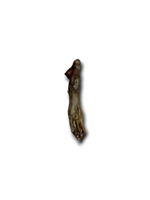 Rabbit Feet (no hair)