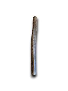 Ostrich Tubes / Trachea