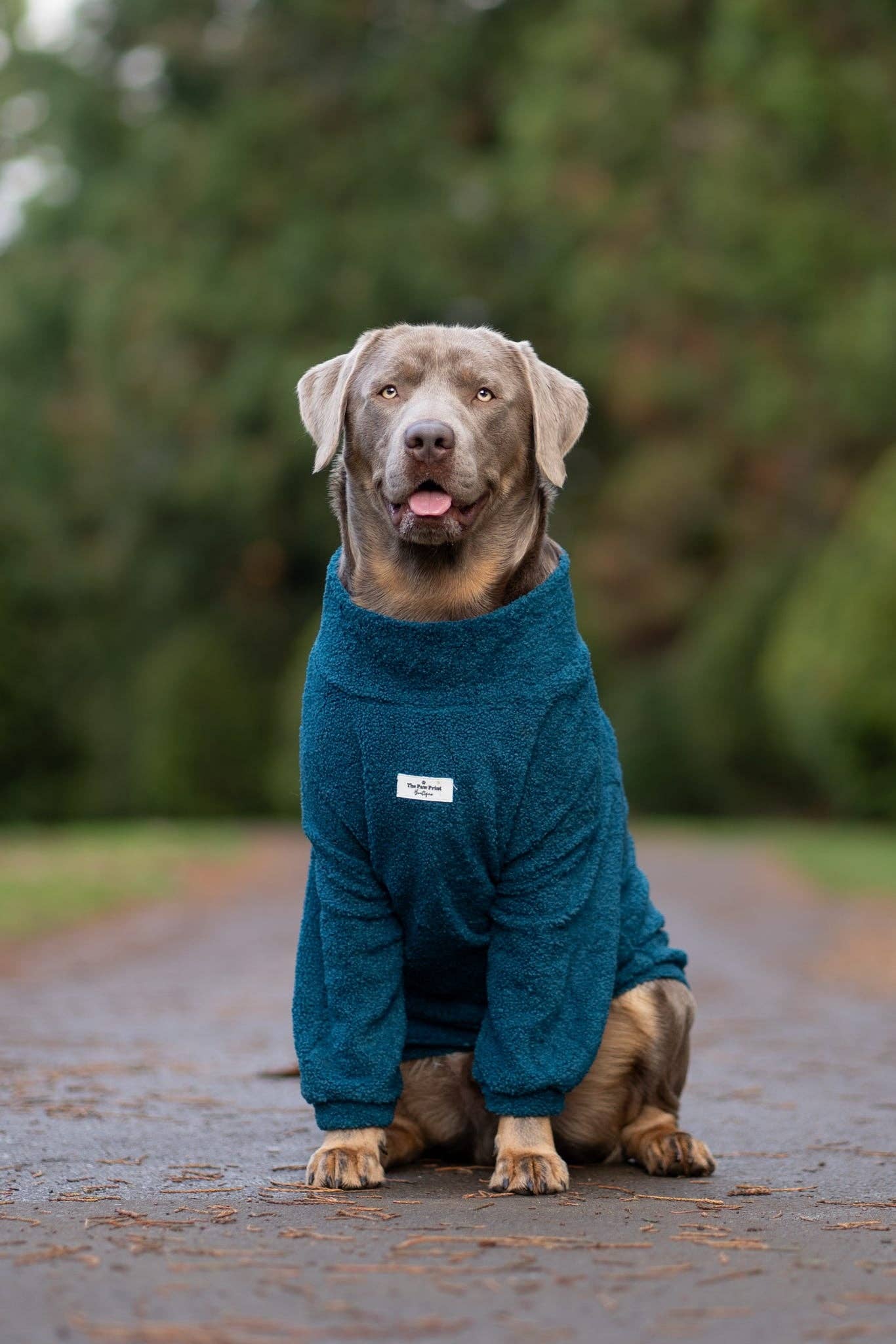 The Teal Teddy Fleece