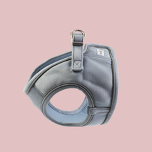 Doodlebone Dinky Dog Snappy Harness: Chalky Blue / 1
