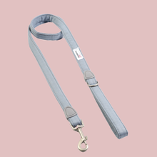 Doodlebone Dinky Dog Lead: Chalky Blue / 20mm