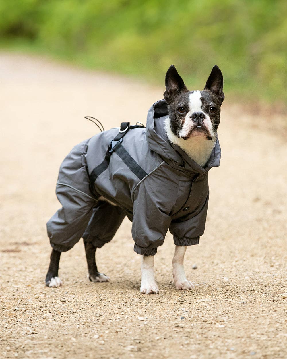 Hugo & Hudson Winter Dog Snowsuit - Grey