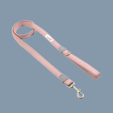 Doodlebone Dinky Dog Lead: Chalky Pink / 20mm