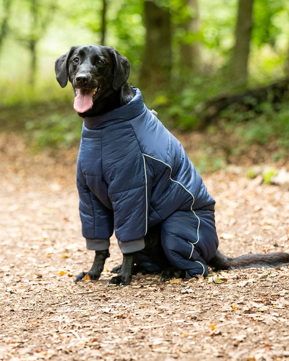 Hugo & Hudson Outdoor Winter Dog Suit - Navy