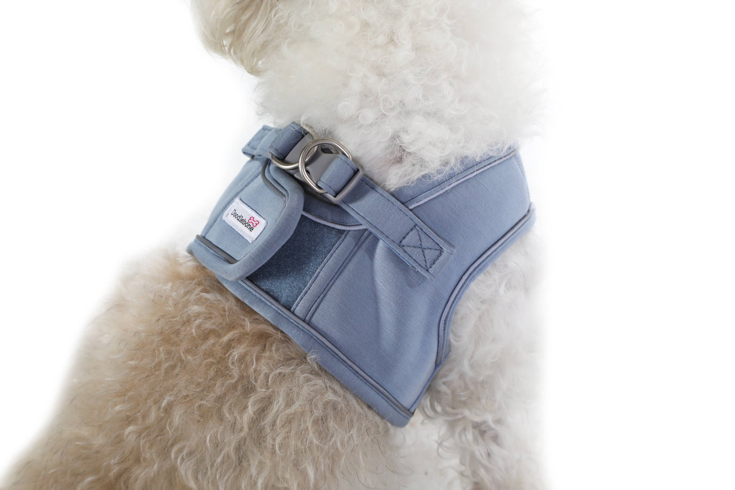 Dinky Dog Snappy Harness: Blue Cord / 2