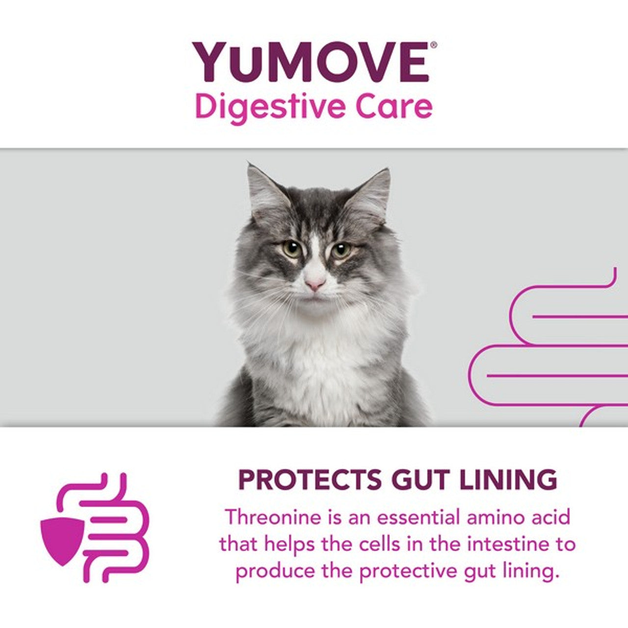YuMOVE Digestive Care PLUS 6 sachets