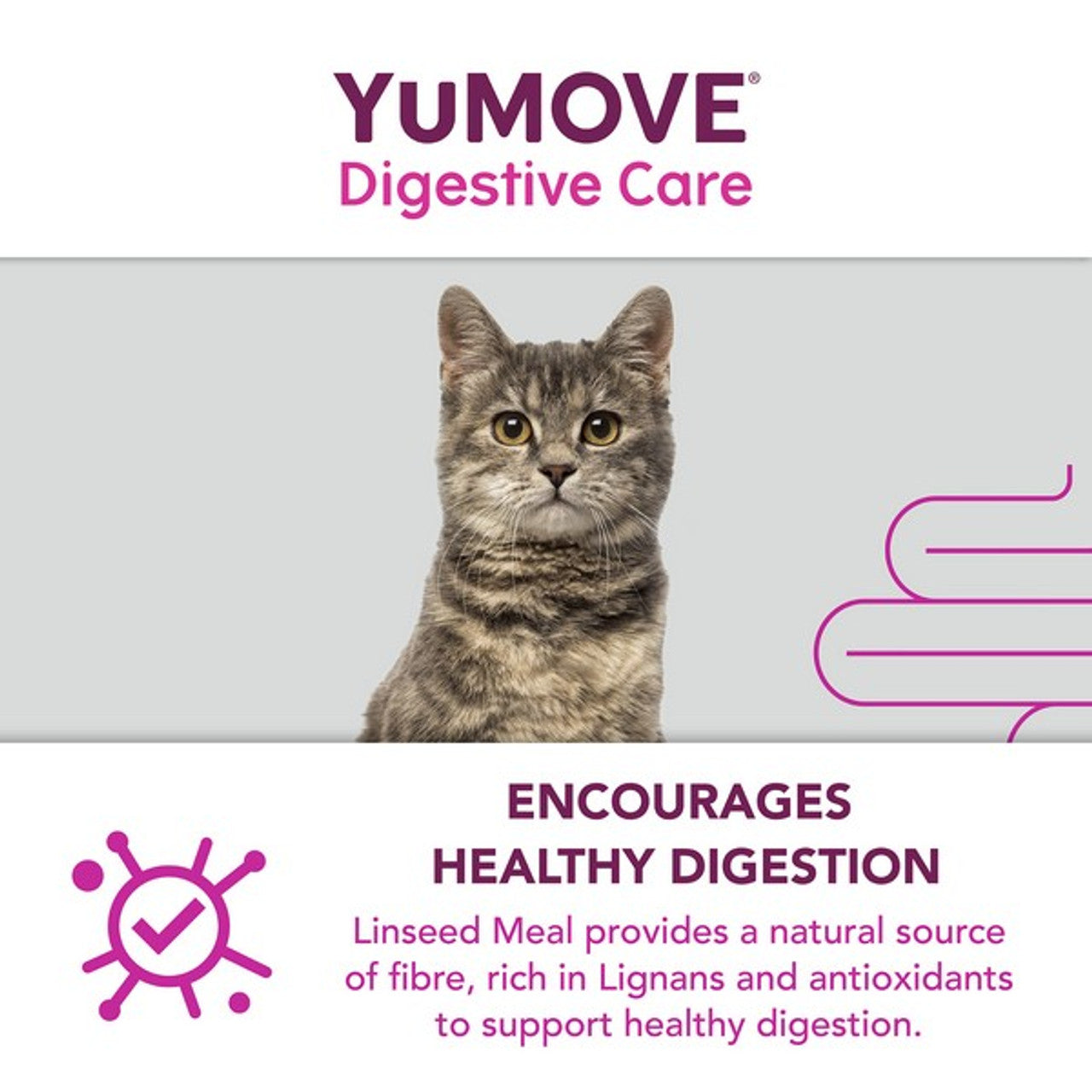 YuMOVE Digestive Care PLUS 6 sachets