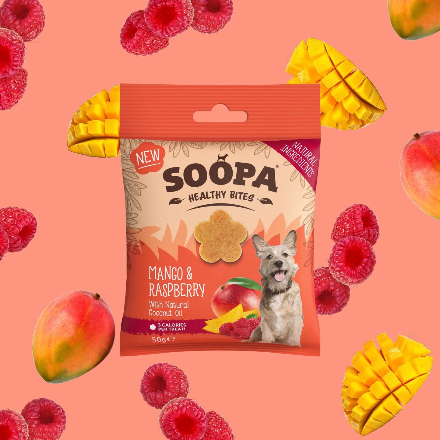 Soopa Mango & Raspberry Dog Treats