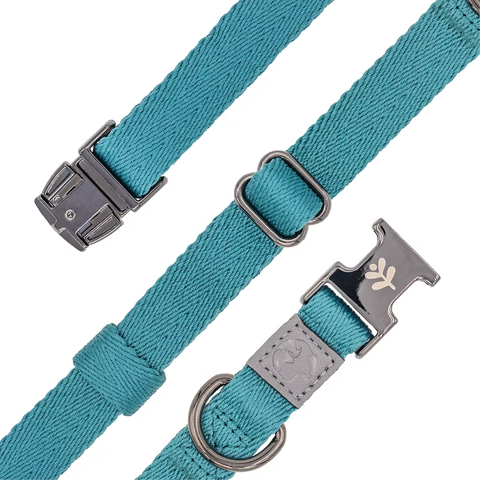 Sotnos Eco Collar Turquoise