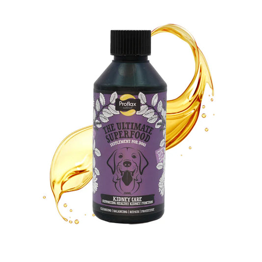 Proflax Kidney Care - Kidney & Urinary Support for Dogs 250ml