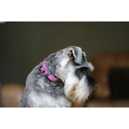 Sotnos Brights Aquatech Collar Raspberry