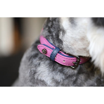 Sotnos Brights Aquatech Collar Raspberry