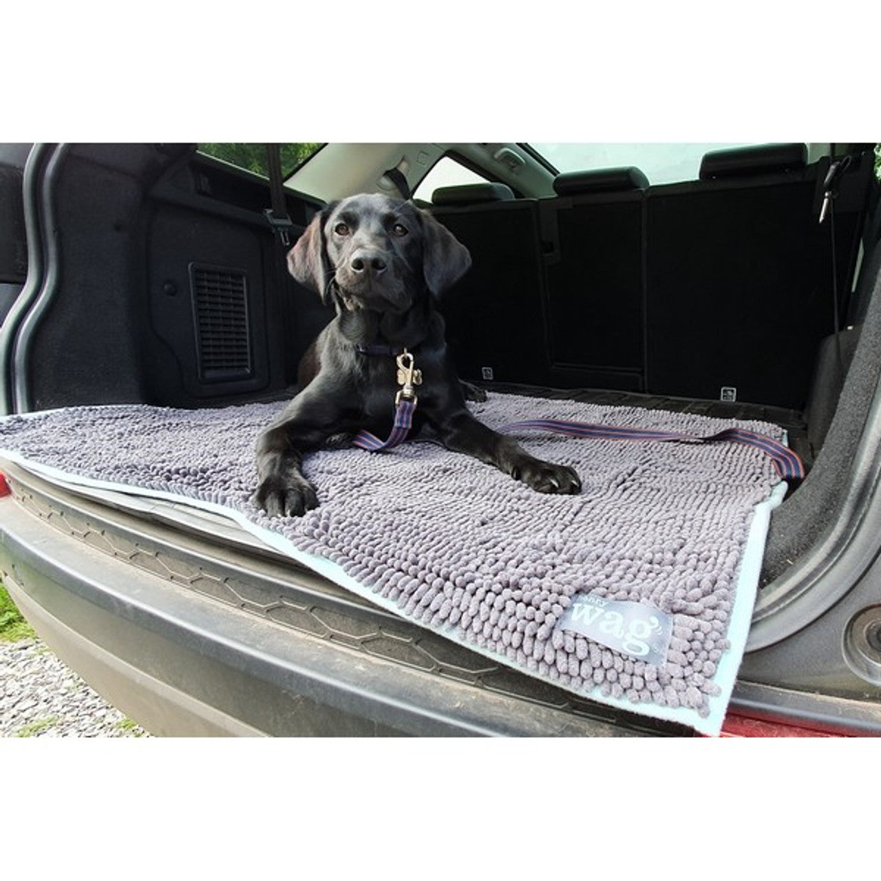 Tillys henry wag noodle mat 