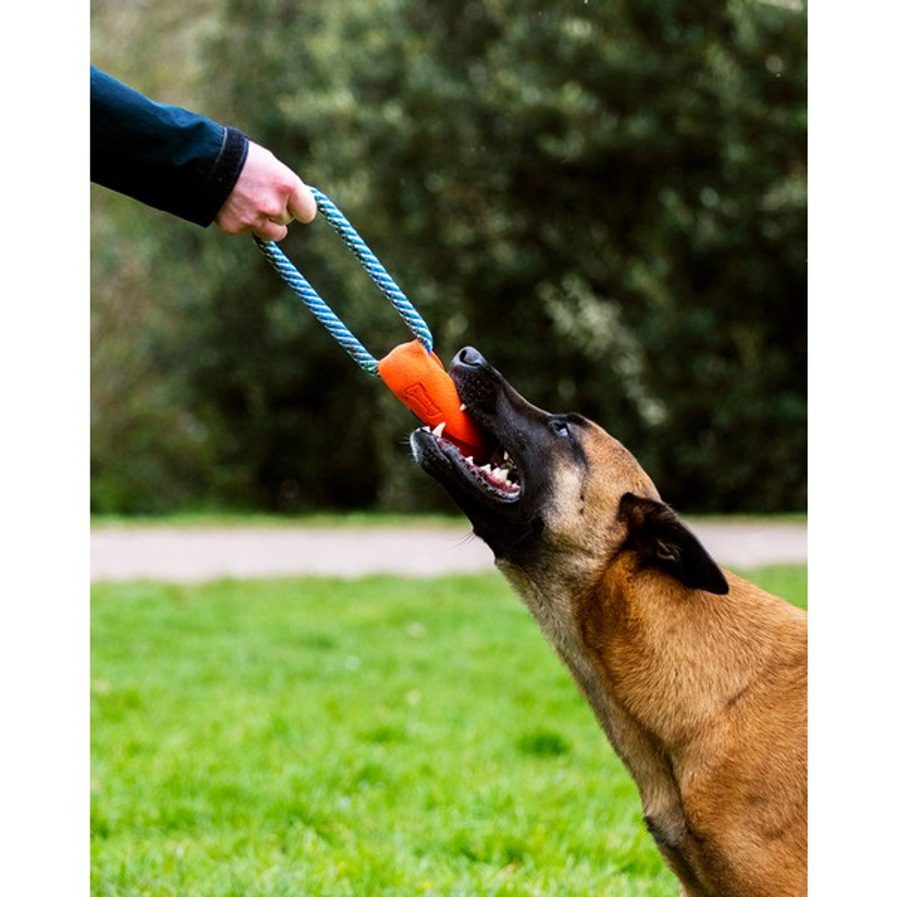 Chuckit! Ultra Bumper Tug