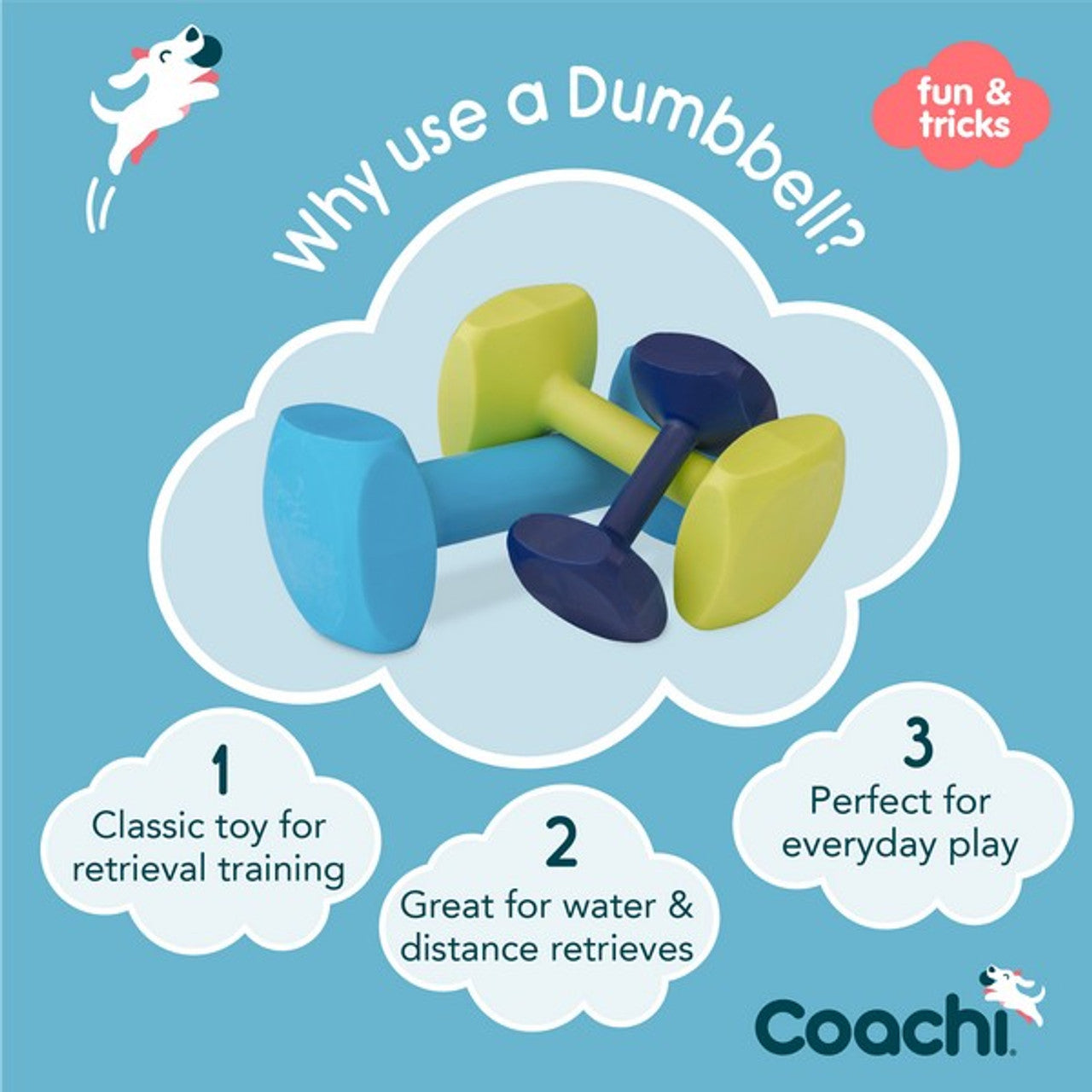 CoA Coachi Training Dumbbell Light Blue 19cm