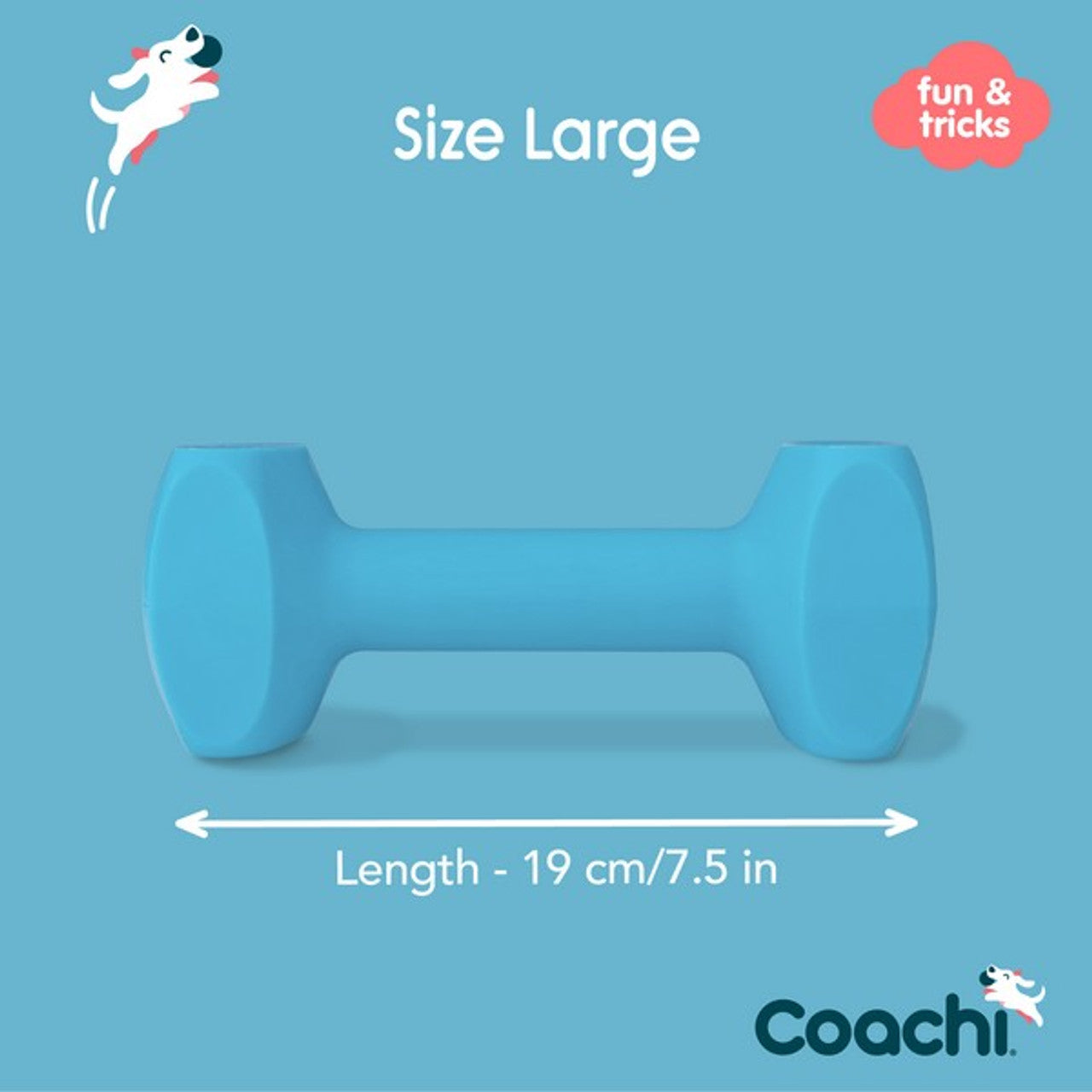 CoA Coachi Training Dumbbell Light Blue 19cm