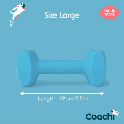 CoA Coachi Training Dumbbell Light Blue 19cm