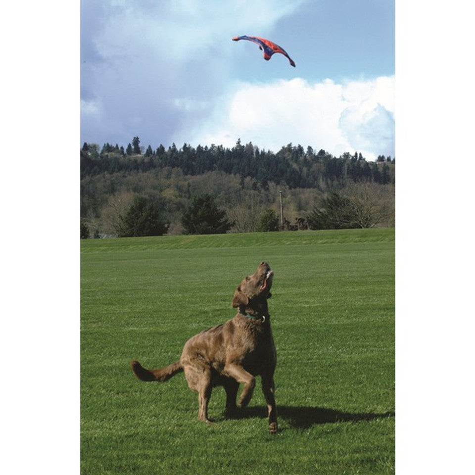 Chuckit! Flying Squirrel Medium