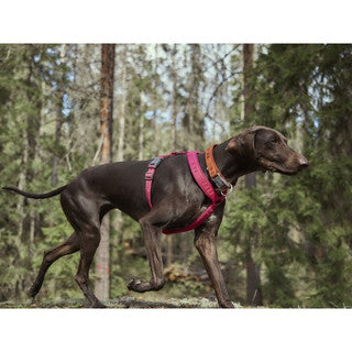 Hurtta Casual Y-Harness ECO Ruby