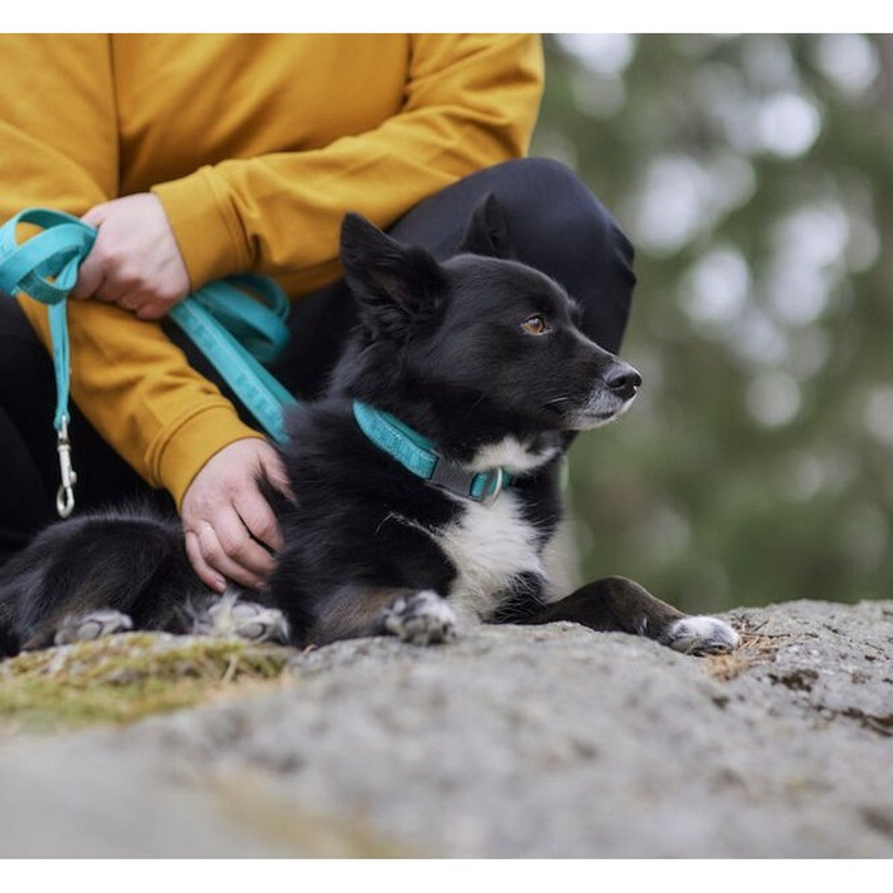 Hurtta Casual Collar ECO Raven