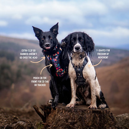 Twiggy Tags Adventure Harness Aurora
