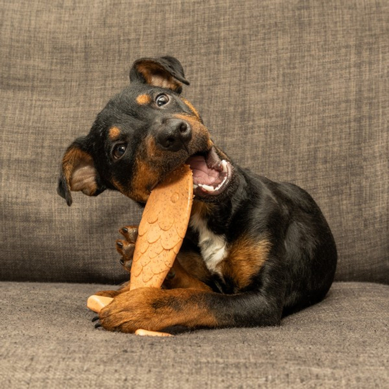 Bamboodles Fish Puppy and Moderate Chewers