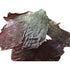 Doodles Deli Air Dried Ostrich Jerky 100g