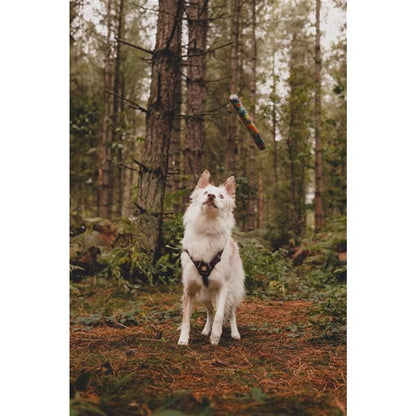 Chuckit! NFD ECO Fetch Day Ultra Stick