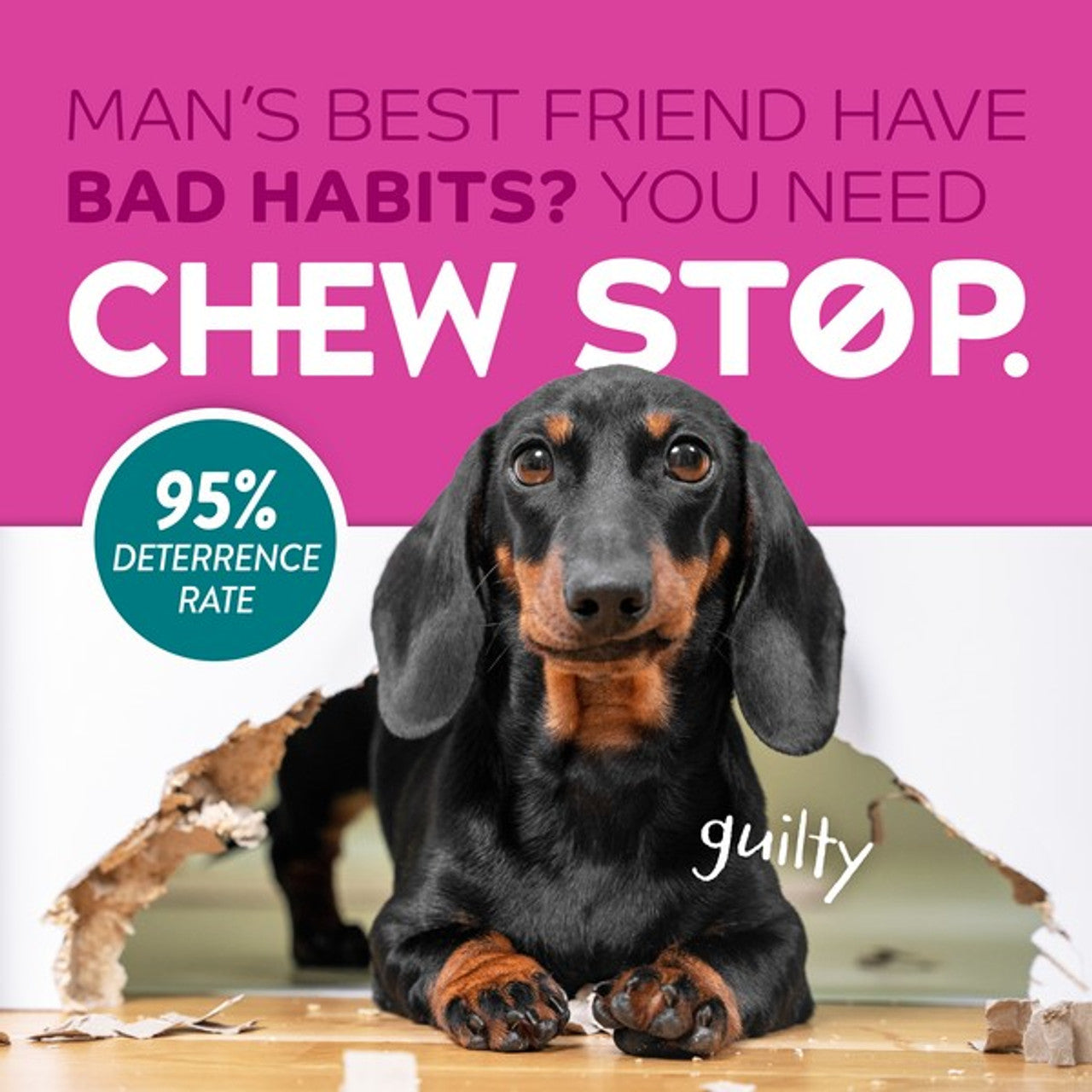 Dog with chew damage and 'Chew Stop' advertisement on a pink background