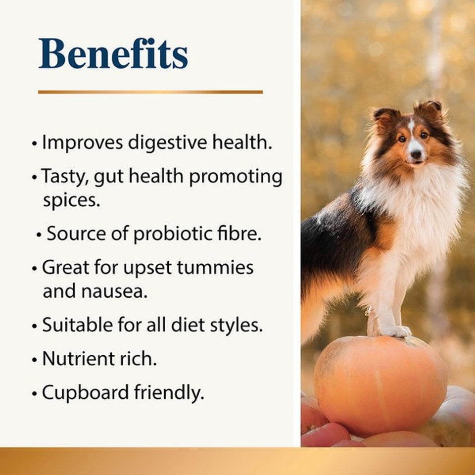 Karnlea Pumpkin & Spice Powder for Dogs 200g