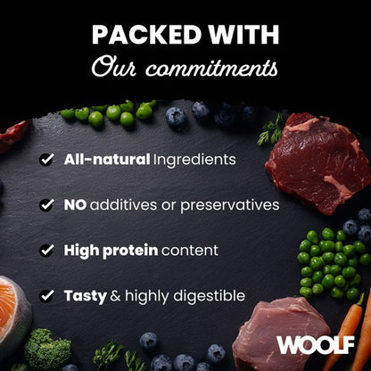 CoA Woolf Large Chicken, Pumpkin and Oats Bone 100g