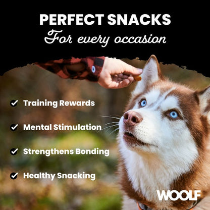 CoA Woolf Large Chicken, Pumpkin and Oats Bone 100g