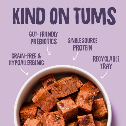 Scrumbles Grain Free Wet Dog Food Turkey 150g