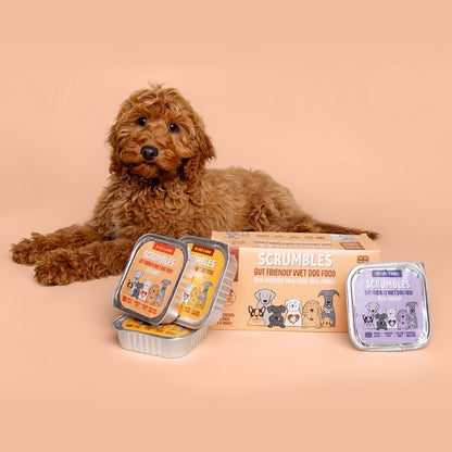 Scrumbles Grain Free Wet Dog Food Multipack Meaty 6x150g