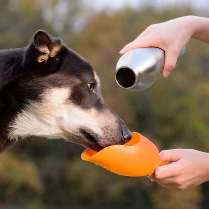 KONG H2O (740ml/25oz) Stainless Steel Bottle Orange