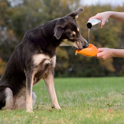 KONG H2O (740ml/25oz) Stainless Steel Bottle Orange