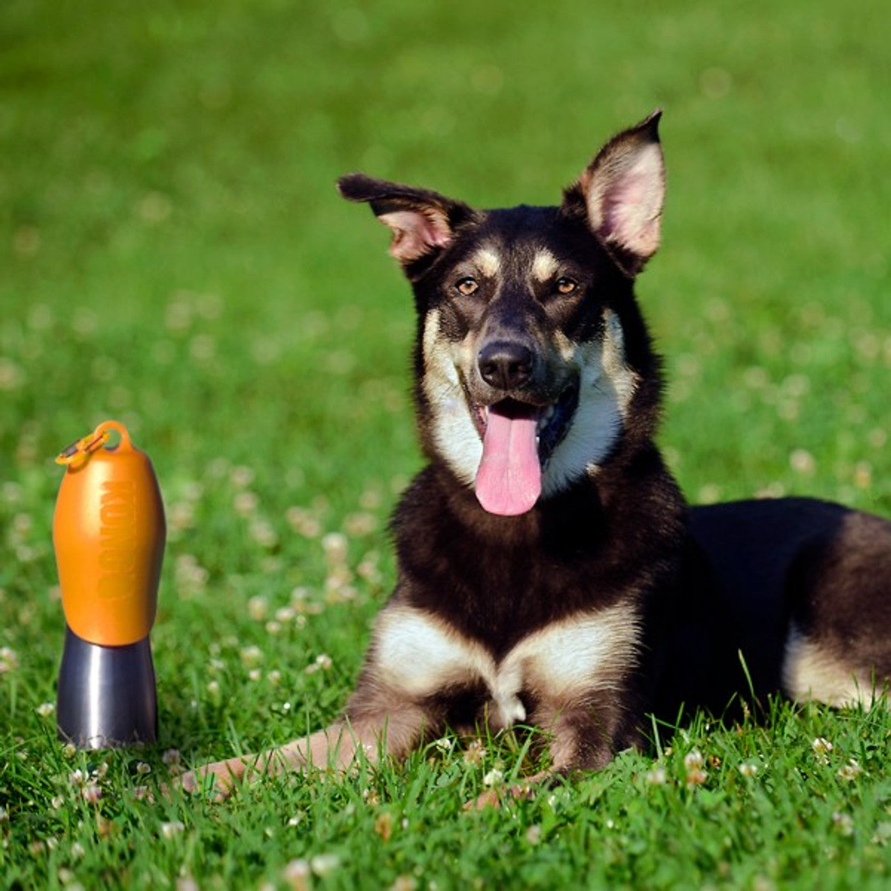 KONG H2O (740ml/25oz) Stainless Steel Bottle Orange
