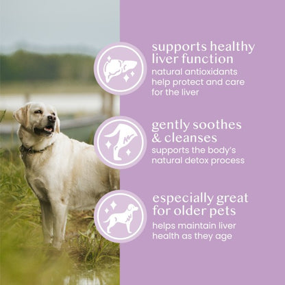 Fettle Ground Seed Milk Thistle Powder 125g